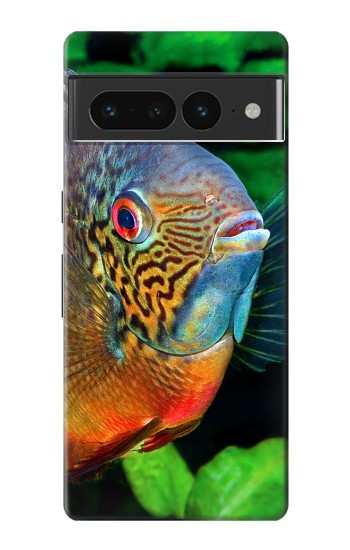 S1812 cichlidés poisson Etui Coque Housse pour Google Pixel 7 Pro